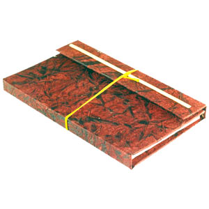 Stick Diary 9x5