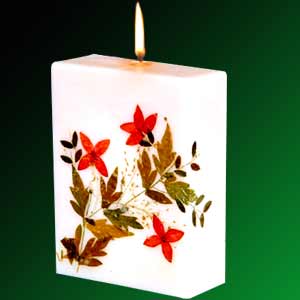 Cedar wood candle